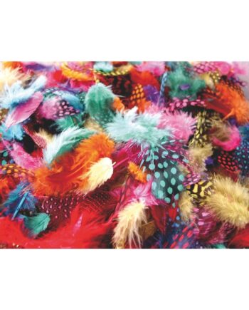 Speckled Feathers - Assorted Colours
