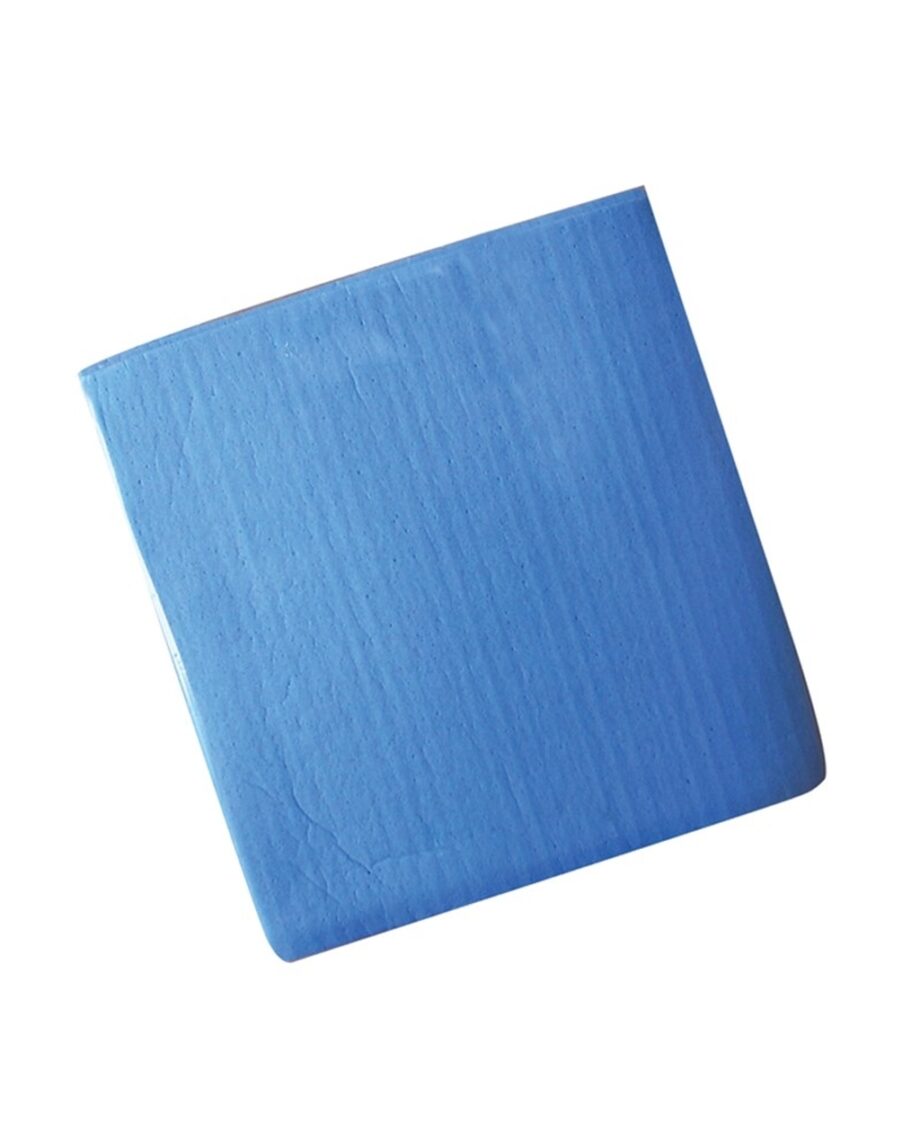 Sponge Cloths, Blue Pack Of 10