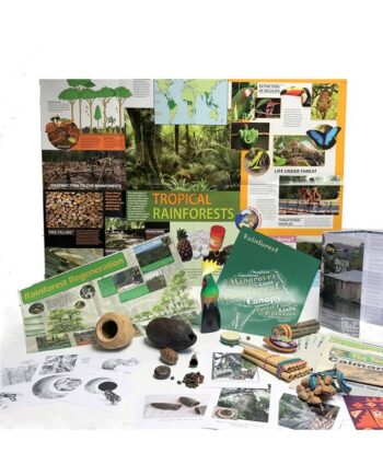 Rainforest Resource Pack