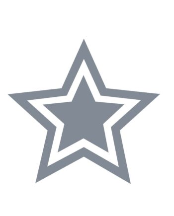 Silver Star Reward Stamp