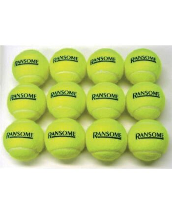 Practice Grade Tennis Balls